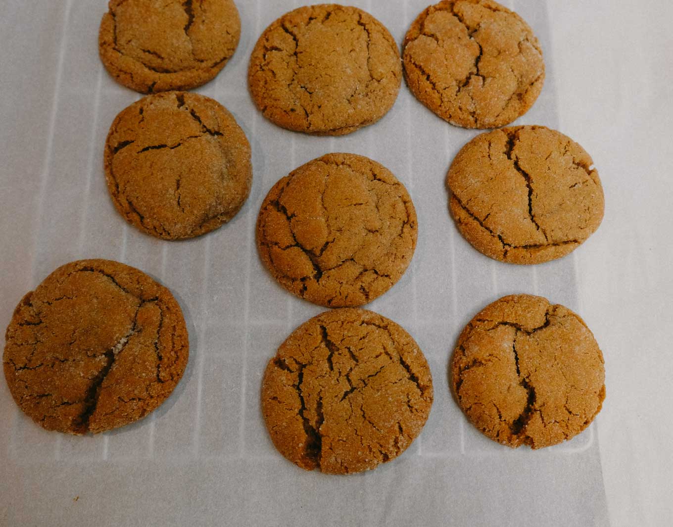 Molasses Cookies | the Tastiest Book